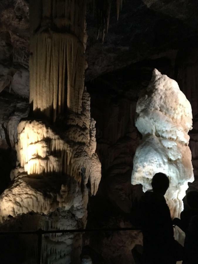 Eagle'S Nest Hostel โพสโตยนา ภายนอก รูปภาพ